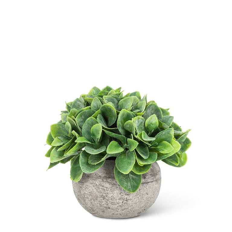 Small Spade Leaf Plant Pot Product Image